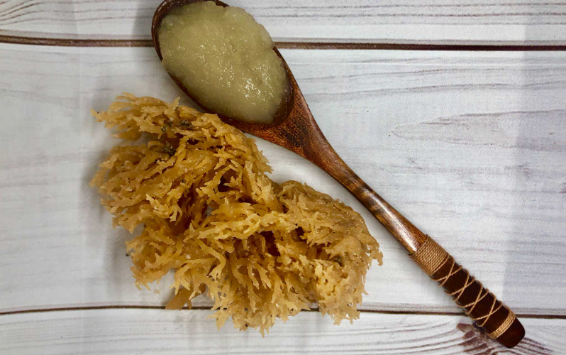 sea moss gel benefits