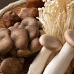 Functional mushrooms in NZ