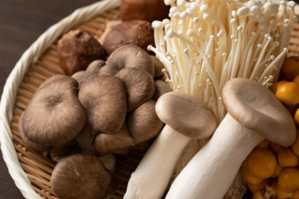 Functional mushrooms in NZ
