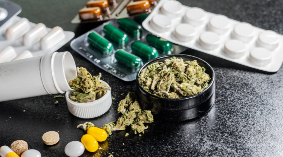 medical marijuana in NZ